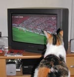 voetbal kijken