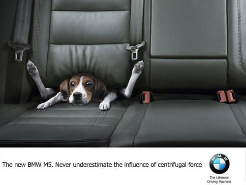 clever-dog-ad-1