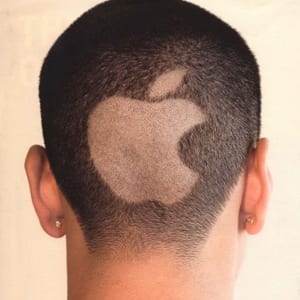 Apple fan