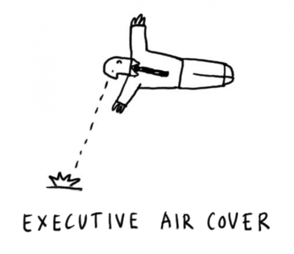 executive-air-cover-dave-gray