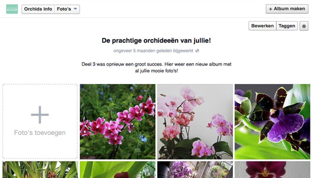 voorbeeld-orchids
