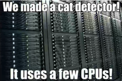 google made a cat detector meme