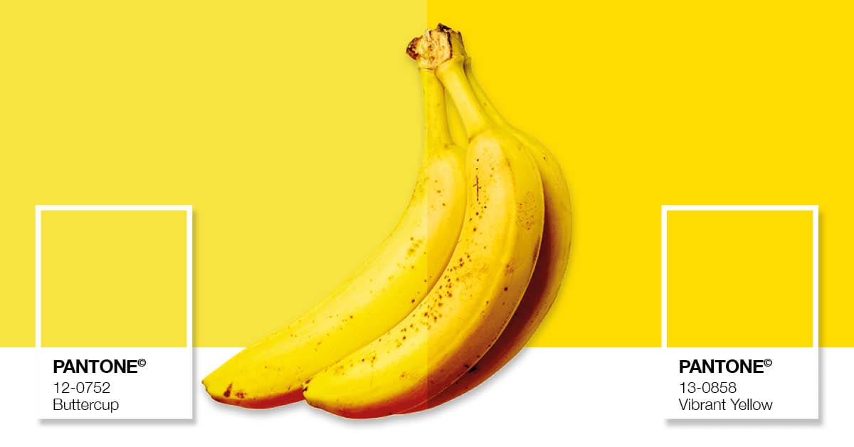gek geworden Discrepantie onderwijs Wat je van de kleur van bananen kunt leren.