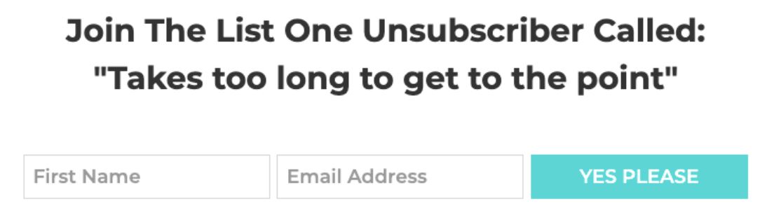 Screenshot van tekst 'Join the list one unsubscriber called: takes too long to get to the point' bij formulier om in te schrijven op de nieuwsbrief