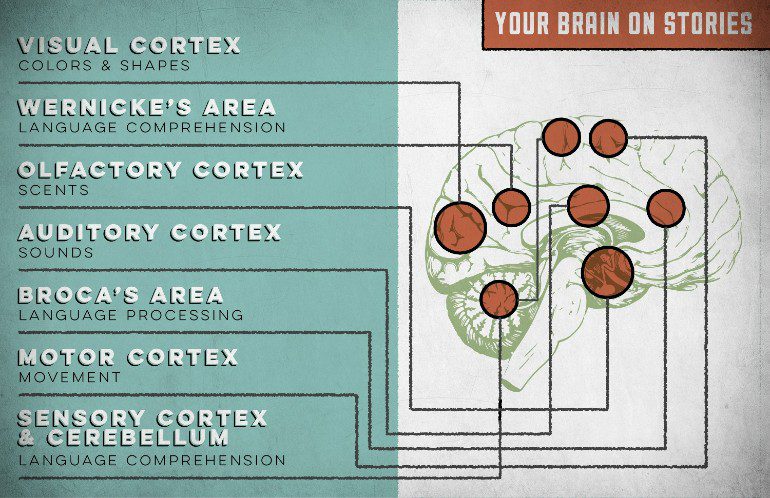 Your brain on stories. 