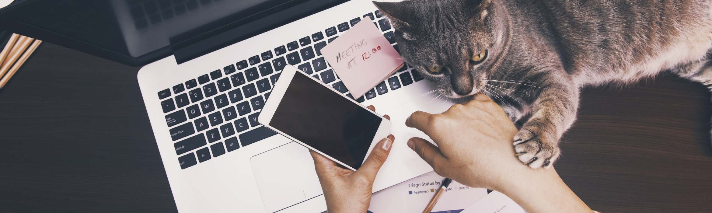 Bovenaanzicht van laptop, telefoon en handen met kat erbij