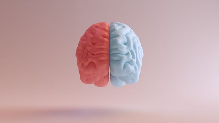 het brein - met slimme schrijftechnieken te beinvloeden