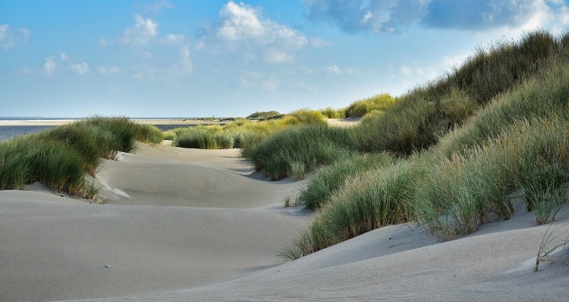 Dunes via Pixabay.